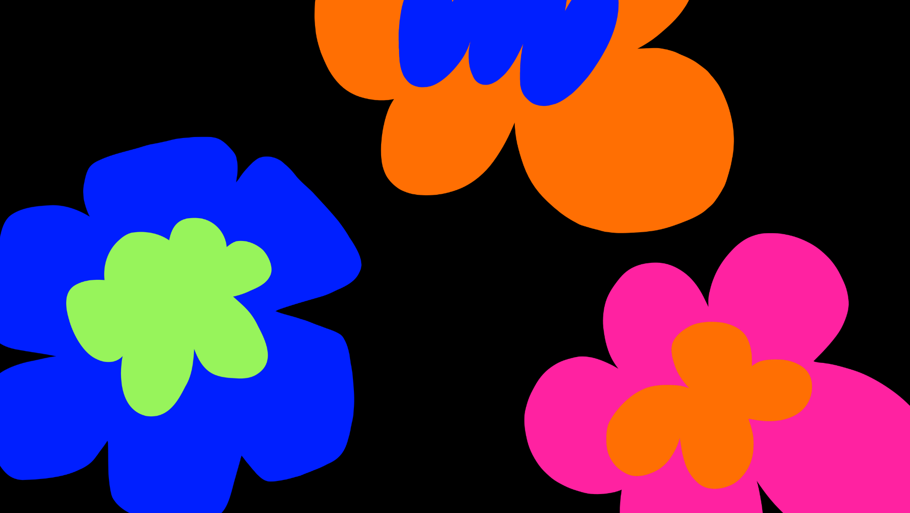 Micke Lindebergh flowers against black background